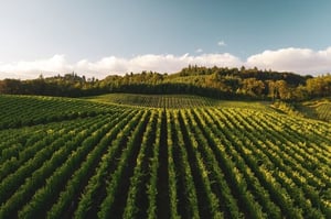 Agriculture & Outdoor Equipment